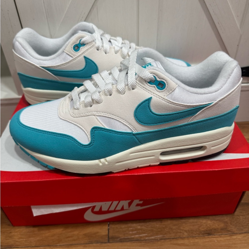 Nike Air Max 1 ‘Dusty Cactus’ Women's 9.5